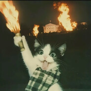 排到我你这把算是完了