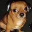 Gustavo