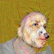 Skely - steam id 76561197970395906