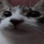 Spidix