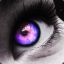 Ravennites