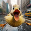 CrazyDucky