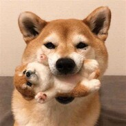 糖麻花