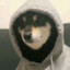 Vsvnakers灵