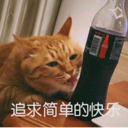 阿珍爱上了阿强