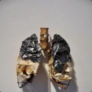 Leadlungz - steam id 76561197971111141