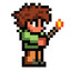 Tim Terraria