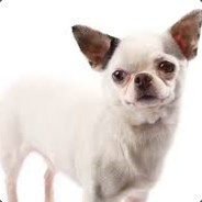 VickeVirre I GAMDOM.COM