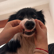 cuk!N