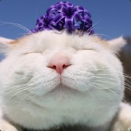 杀我没有小鸡鸡