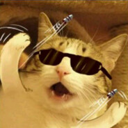 帝都の最强老炮-副旅于豫菊