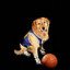 airbud the golden refragger