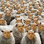 Avatar of player Чабан