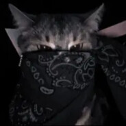 gAngsTA_cAt