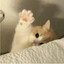高人