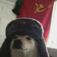 全面实现伟大复兴