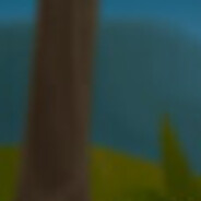 Kamelan FanClub SKINS