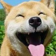 赵馆长