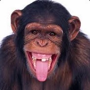 twitch/gattizaoo