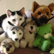 Du$K - steam id 76561197961169331