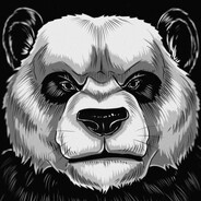 Panda - steam id 76561199861419147