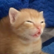 骑士避税被我查出来了