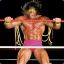 The Ultimate Warrior[AOF]