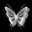 Rynox