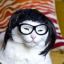 CatinWig