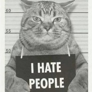 一根带血的老黄瓜