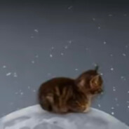 󠁳 ⁧23