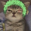 Ronronoa Zoro