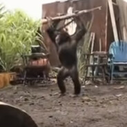 亞綸好大快放進來