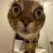 胡图图迎娶壮壮妈