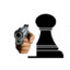 pawn with a gun