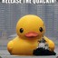 Quack Quack