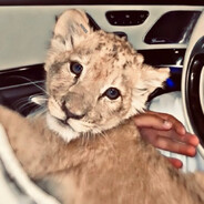 smaaaaasher - steam id 76561198354002598