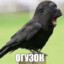 ZxcAbsalut_Ahmed12345678910