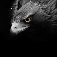 FalcoN