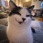 SmirkyPuh