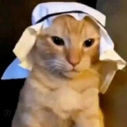 سيريجويلا avatar