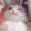 薇薇宝贝