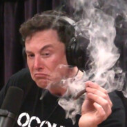 Elon_Tusks