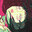 shio