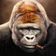 gorillaHAZE