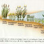 Littoral Zone