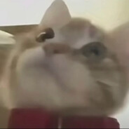 女寝楼下卖菠萝啊