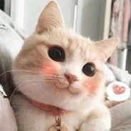 希望shy哥只宠我