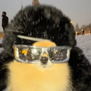 Ichbinbasar avatar
