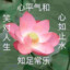 扶老奶奶过中路